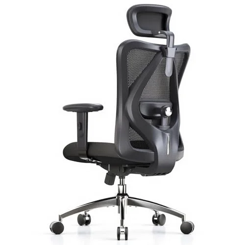 SIHOO M18 Ergonomic Office Chair