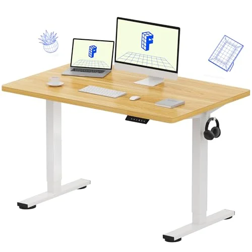 FlexiSpot EN1 Electric Standing Desk