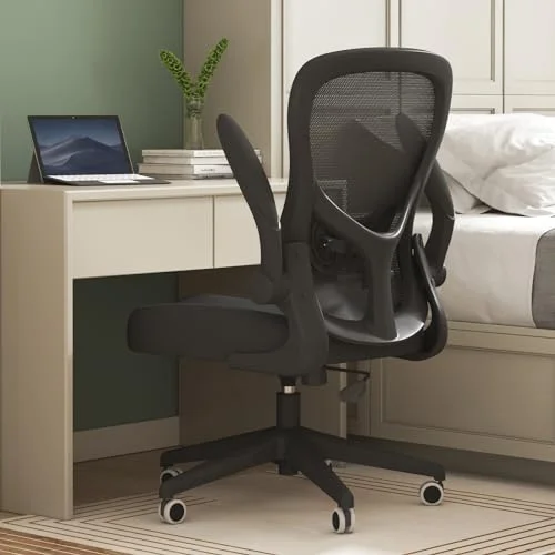 Hbada Office Task Chair