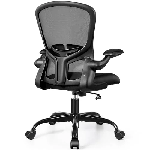 FelixKing Ergonomic Office Desk Chair