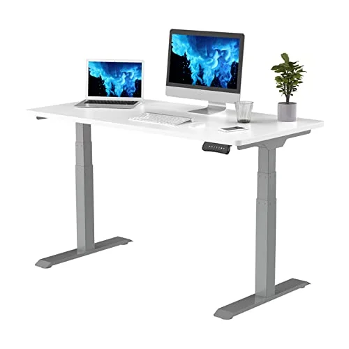 FlexiSpot E7 Pro Electric Standing Desk (48x30)