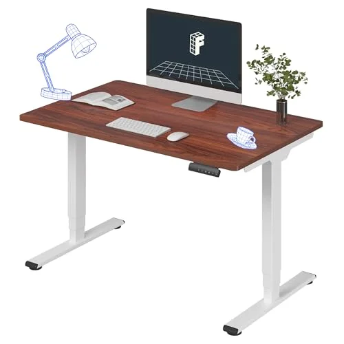 FlexiSpot E6 Dual Motor Standing Desk 48x30