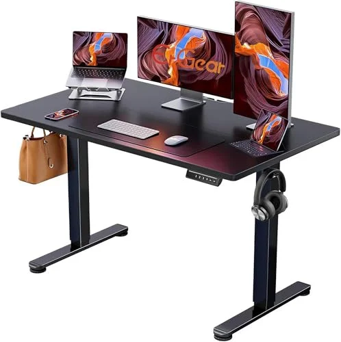 ErGear Electric Standing Desk (48x24, Black)