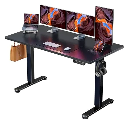 ErGear Height Adjustable Electric Standing Desk 55x28