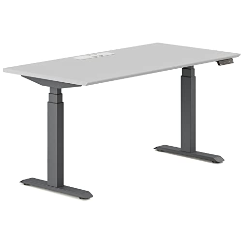 Branch Standing Desk