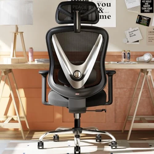 HOLLUDLE Ergonomic Mesh Office Chair