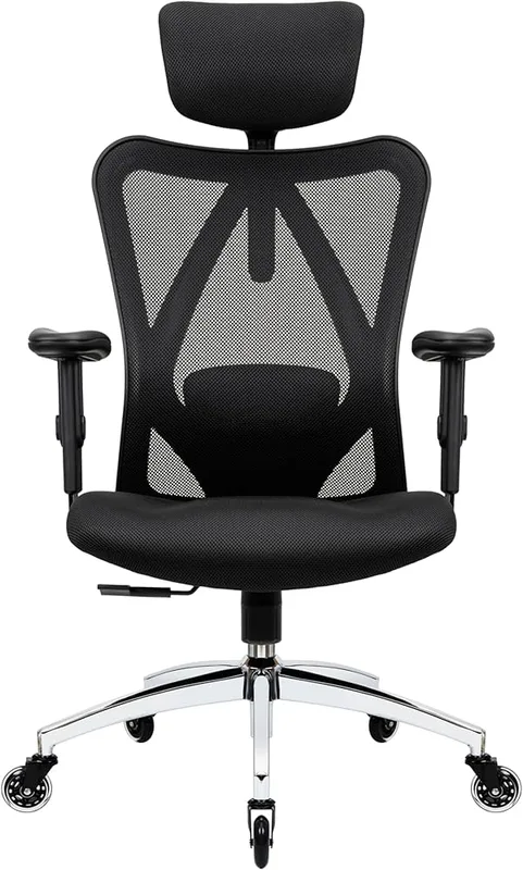 Duramont Ergonomic Chair