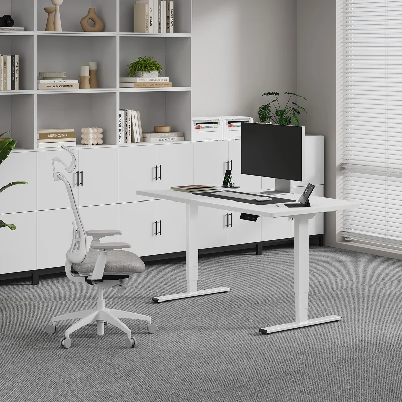 FlexiSpot E5 Standing Desk