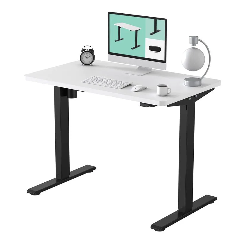 FLEXISPOT EC1 Electric Standing Desk 48 x 24 Inch — Best Brand Reliability