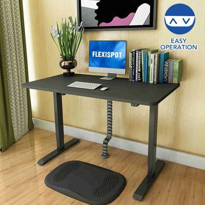 FlexiSpot EC1 Standing Desk