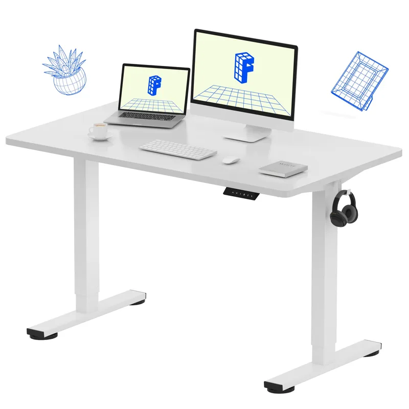 FlexiSpot EN1 Electric Standing Desk 48x24