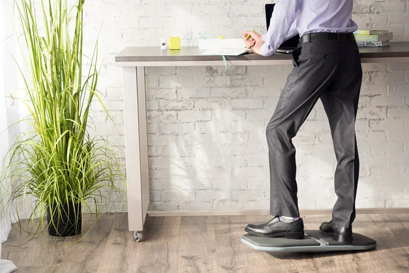Gaiam Evolve Balance Board