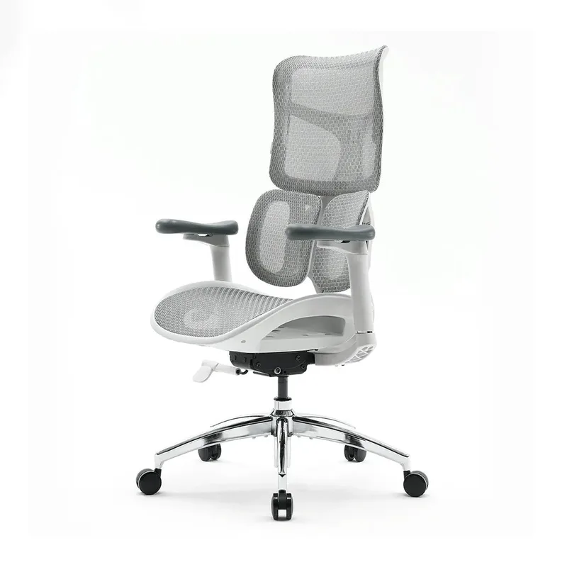SIHOO Doro S100 Ergonomic Chair